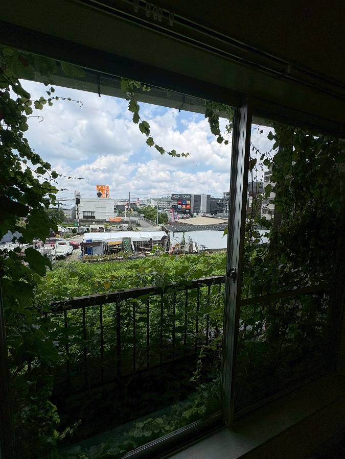 眺望 写真29
