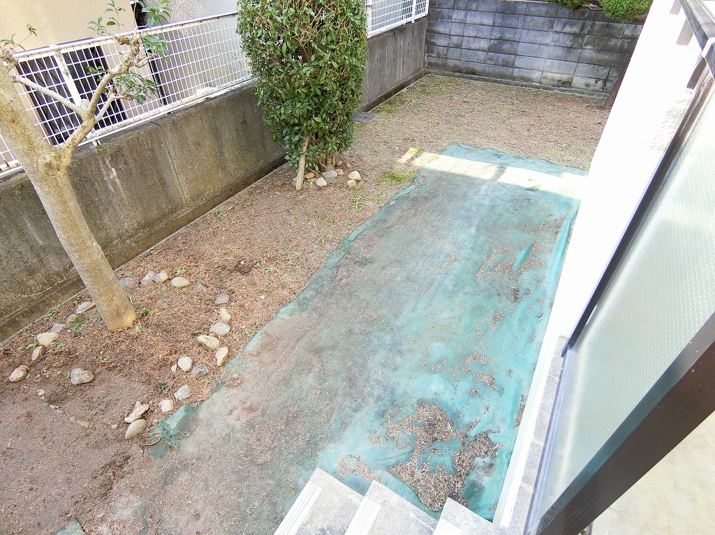庭 写真11