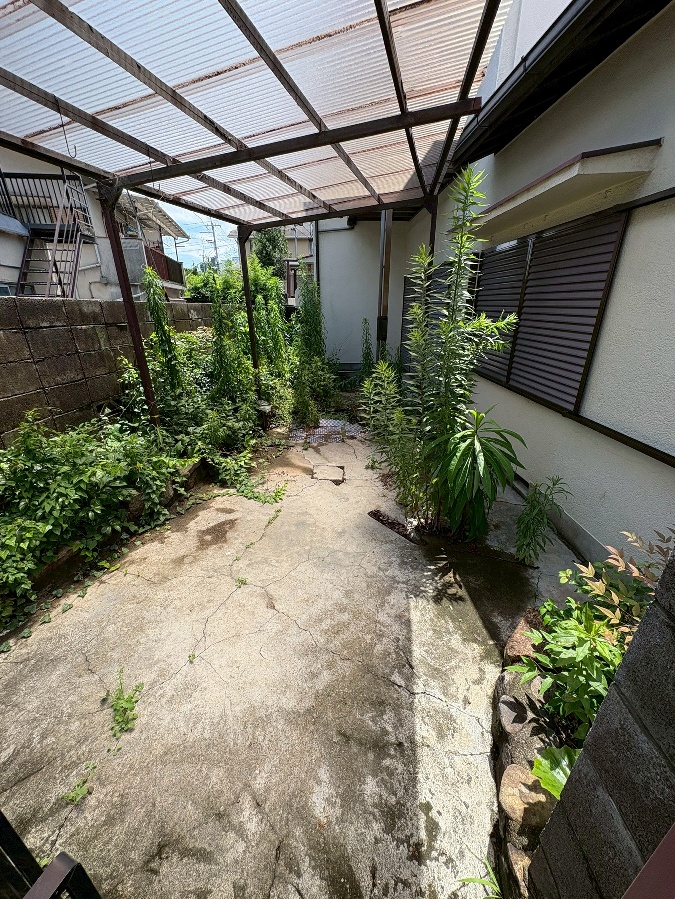 庭 写真29