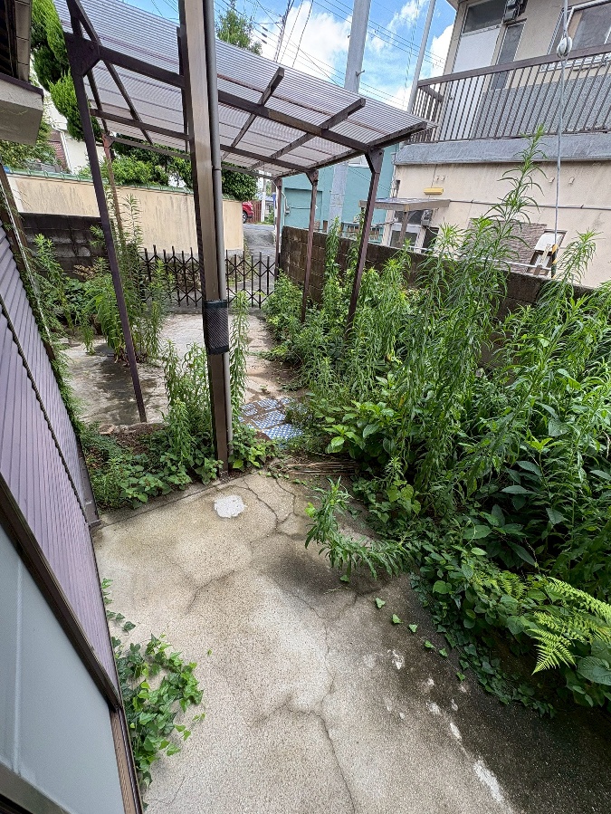 庭 写真30