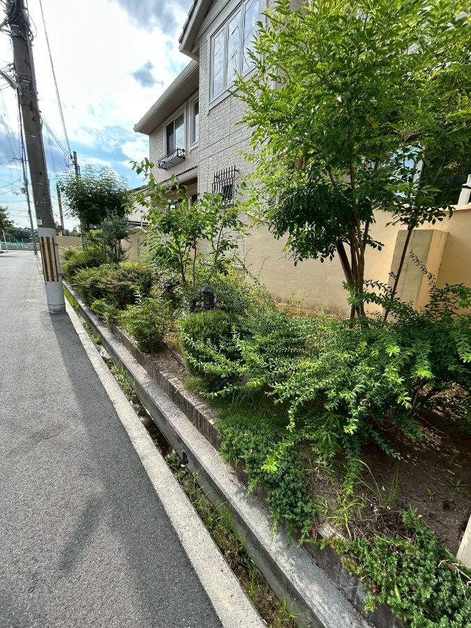 庭 写真2