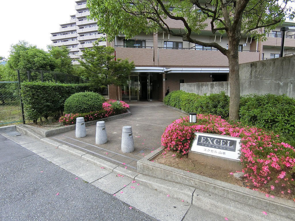 写真19