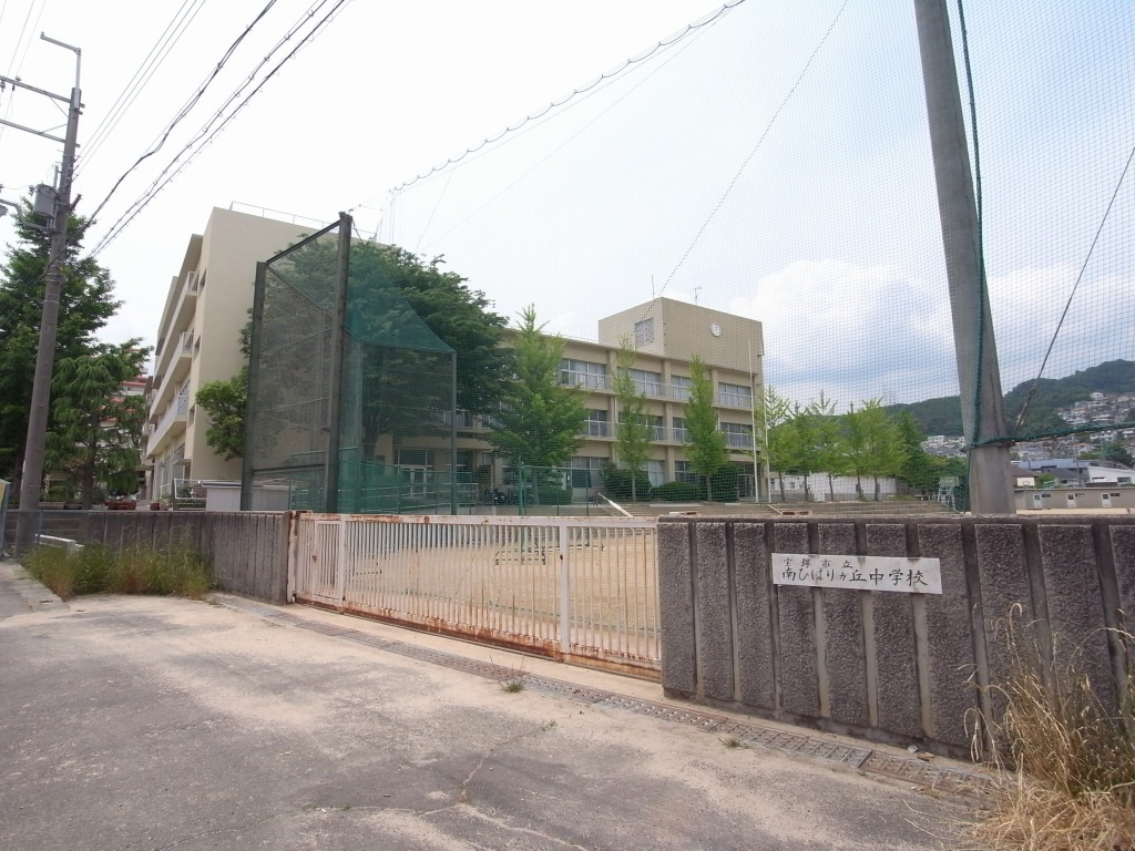 南ひばりガ丘中学校まで1598m (徒歩20分) 写真22