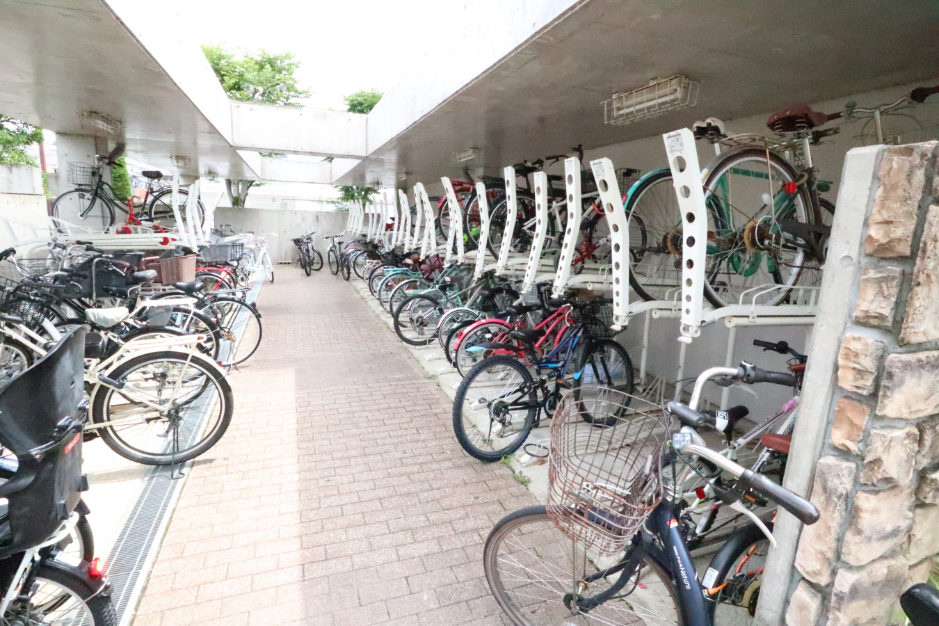 共用部 写真19