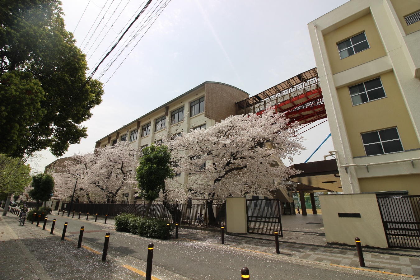 大阪市立旭陽中学校まで499m (徒歩7分) 写真22