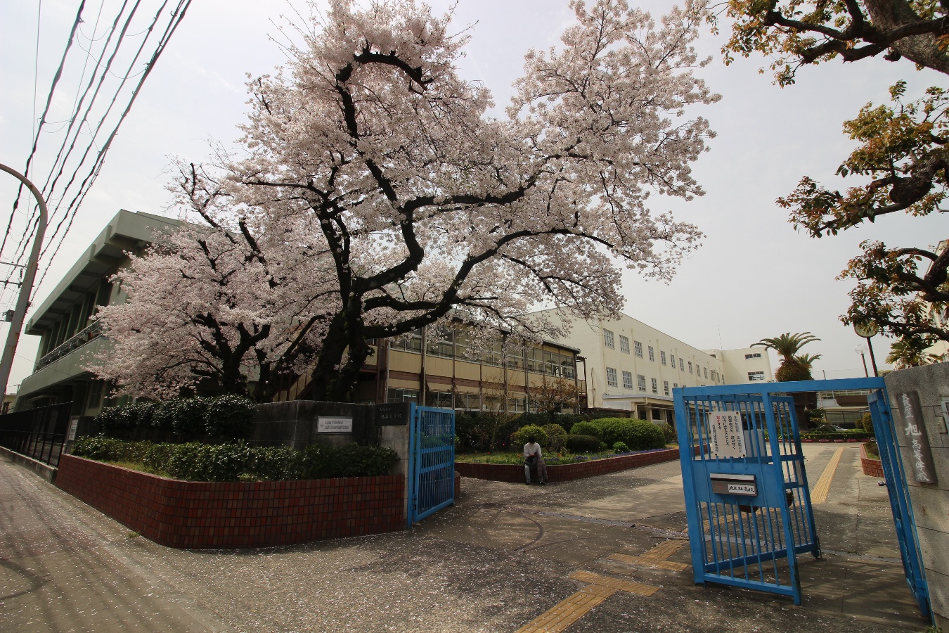 大阪府立旭高等学校まで848m (徒歩11分) 写真23