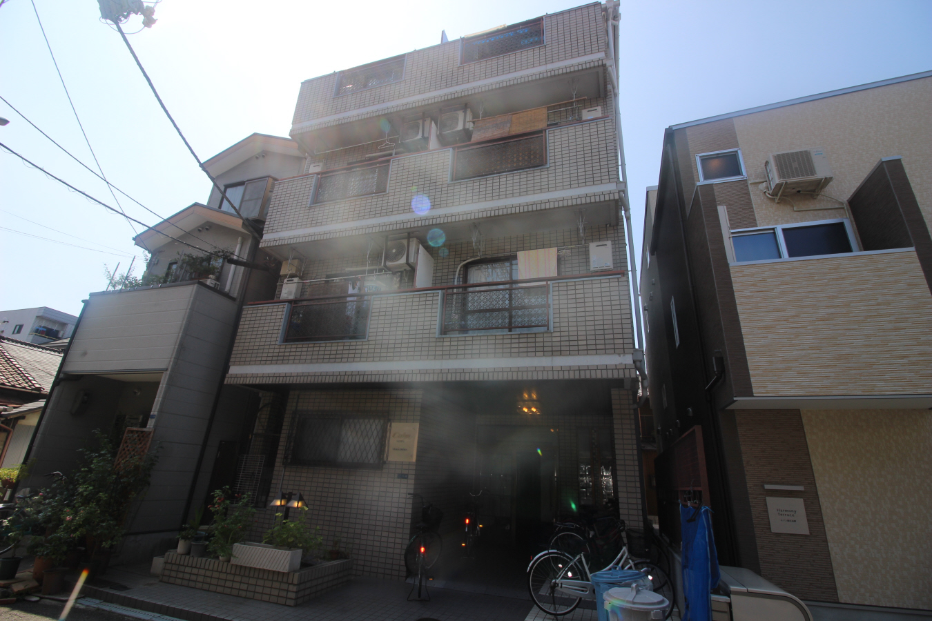 calm seiwa高殿