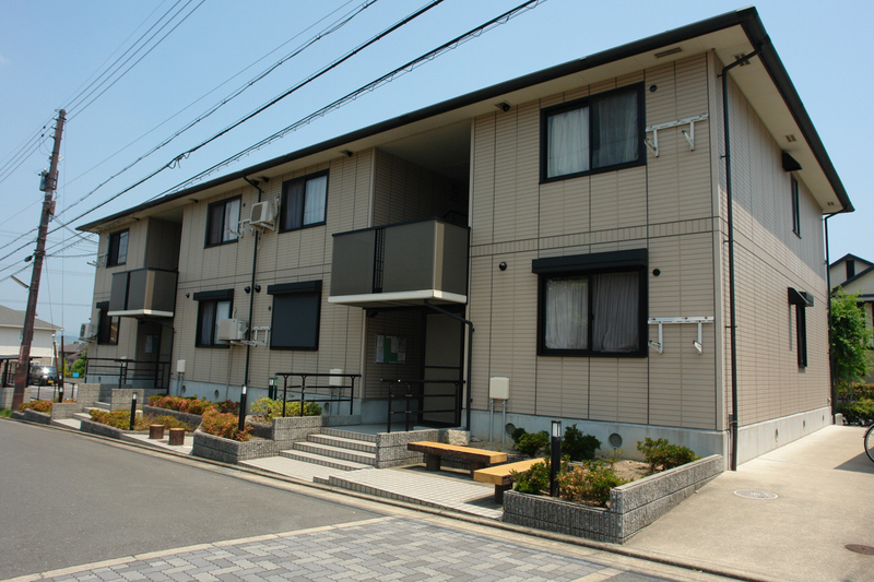 グリーンパーク　ニレの木