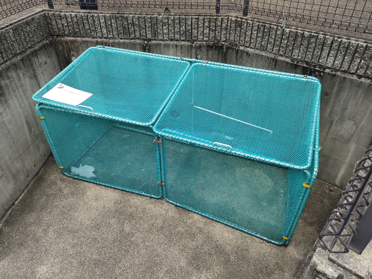 共用部 写真33