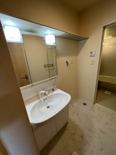 洗面所 写真10