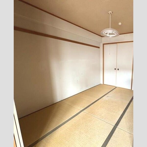 写真12
