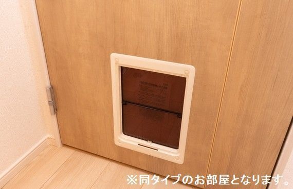 写真10