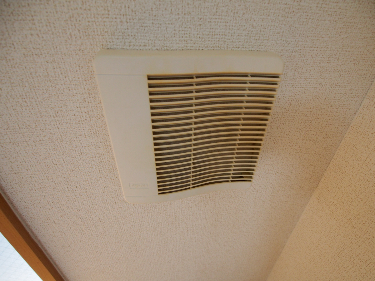 写真31