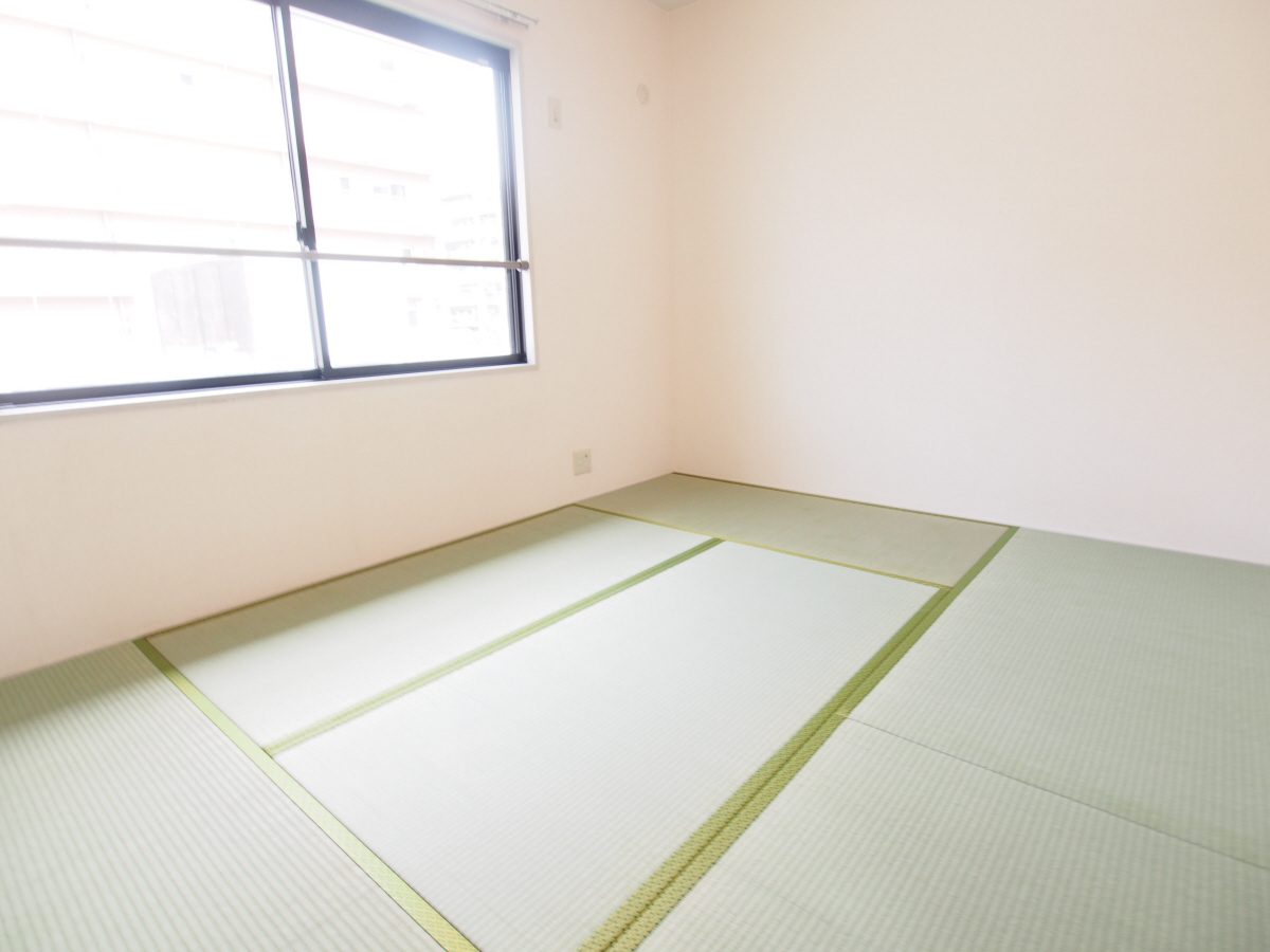 写真5