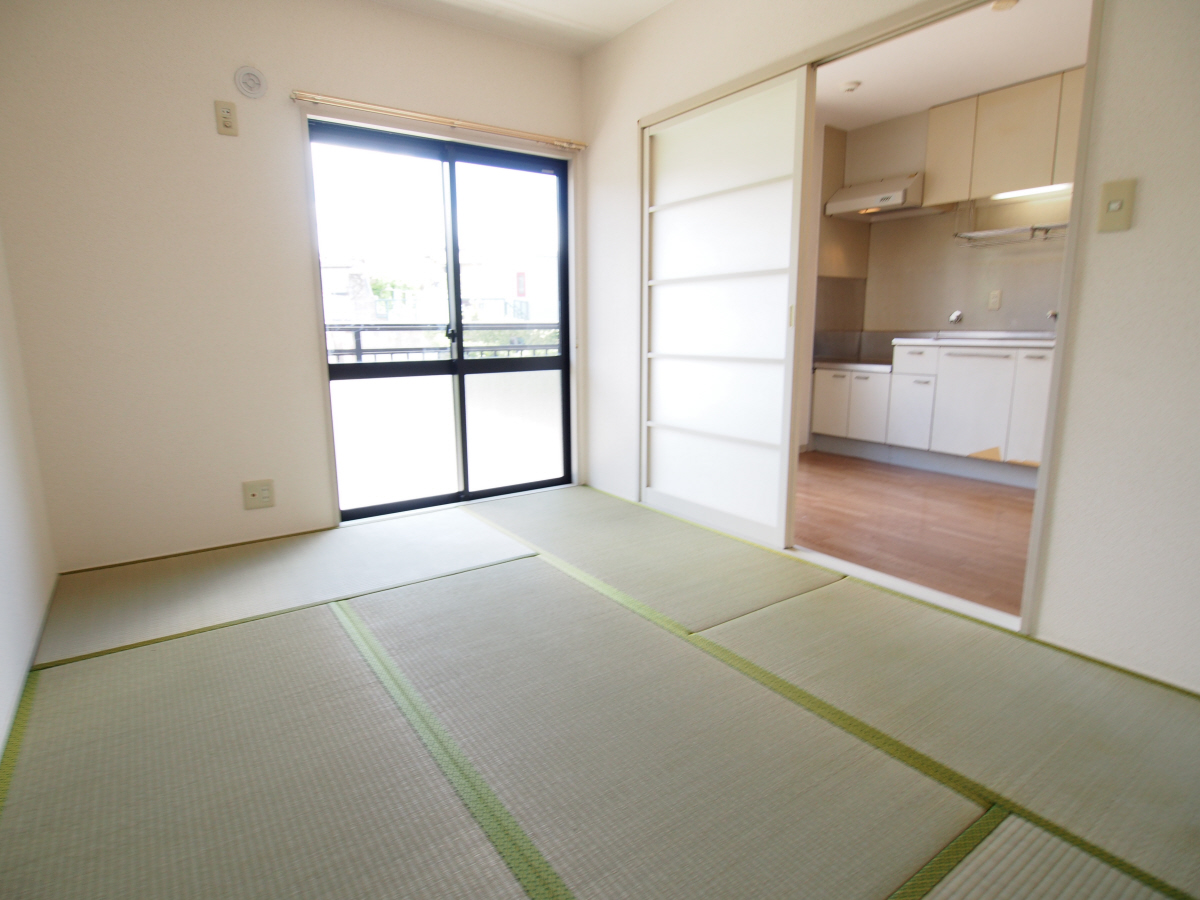 写真19