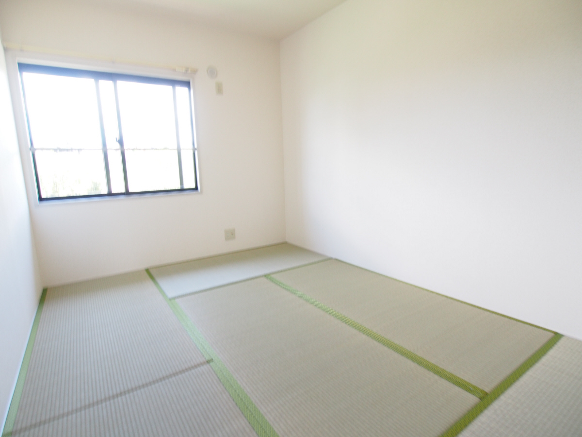 写真5