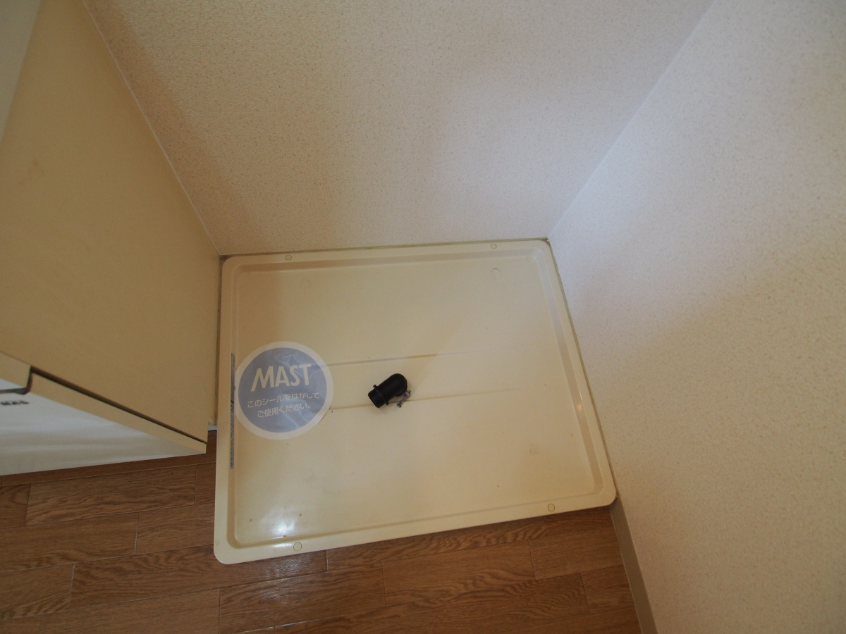 写真9