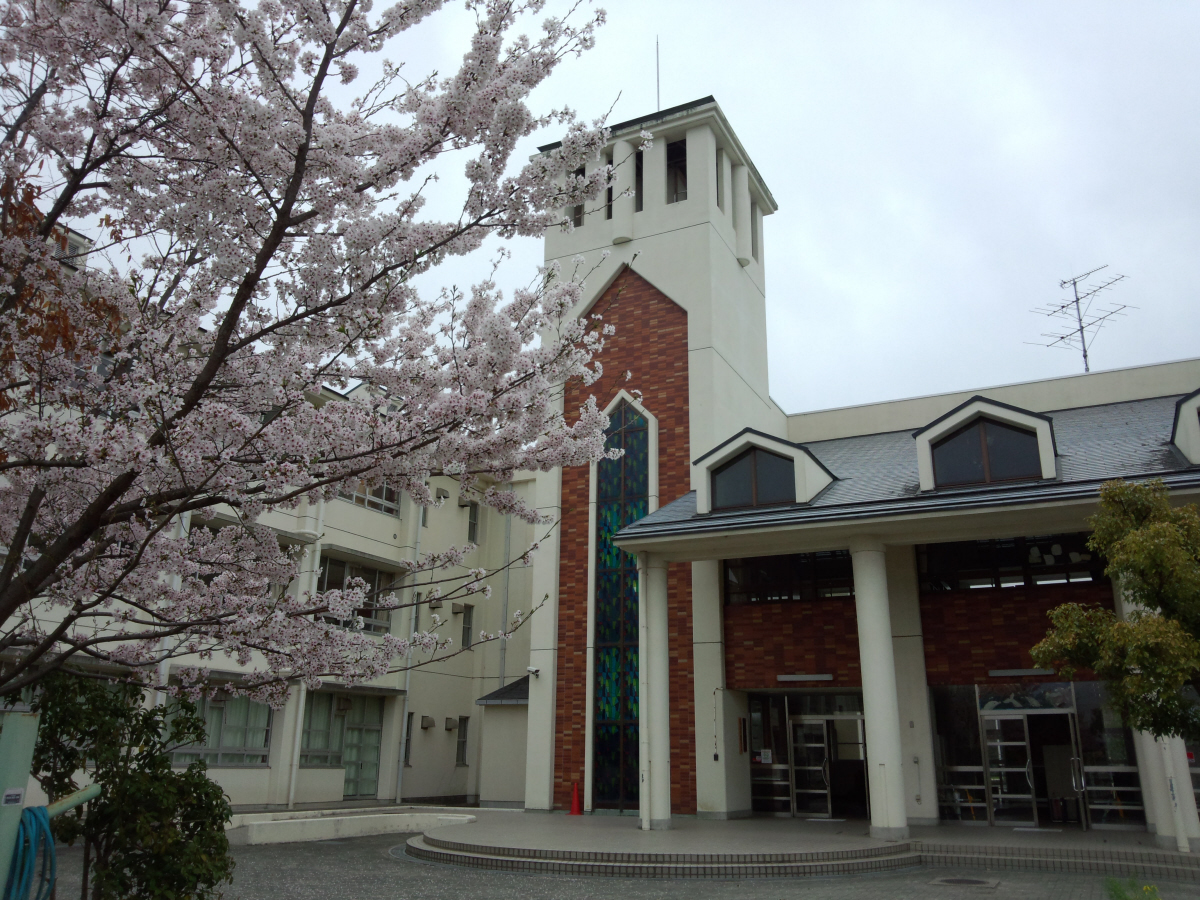 左京小学校まで440m (徒歩6分) 写真21