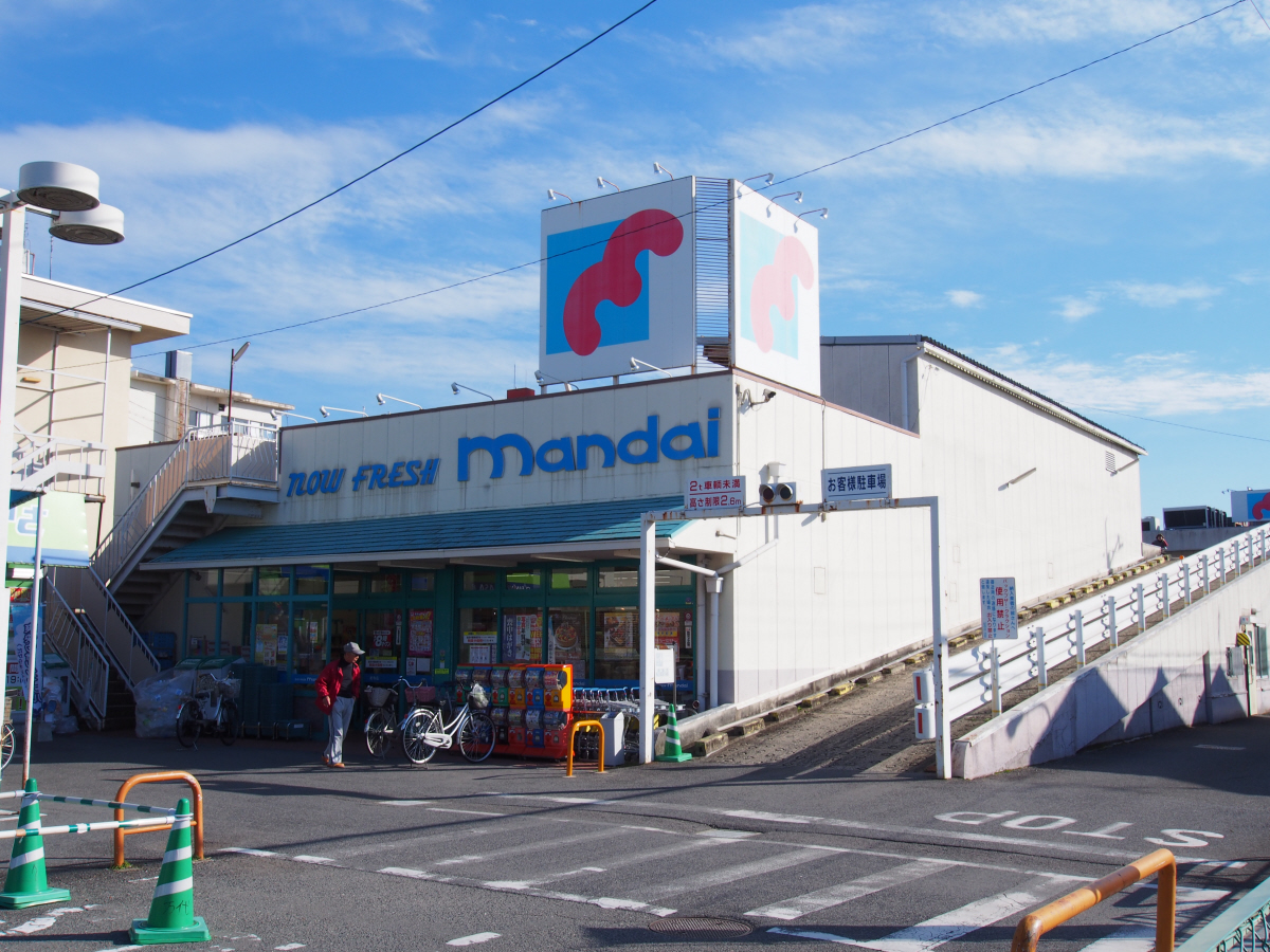 マンダイ 写真26