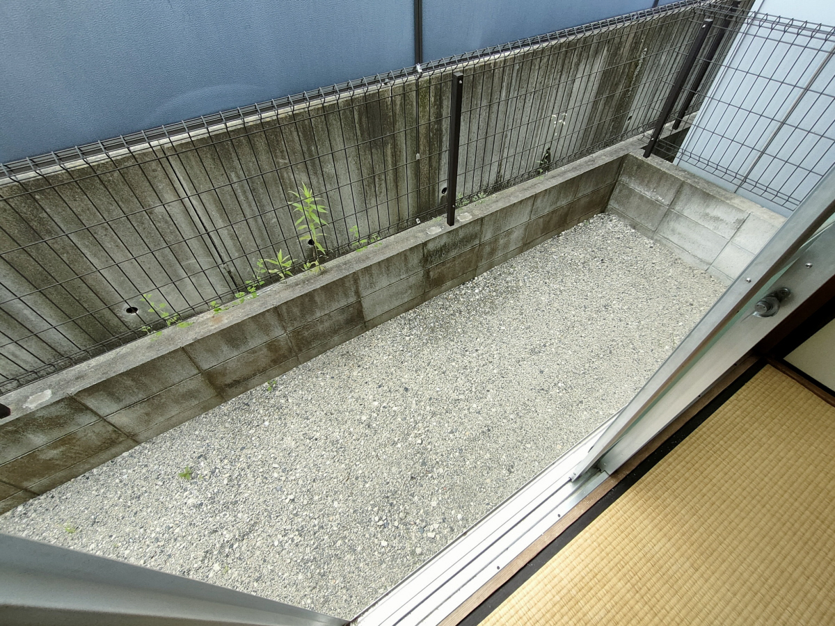 庭 写真10