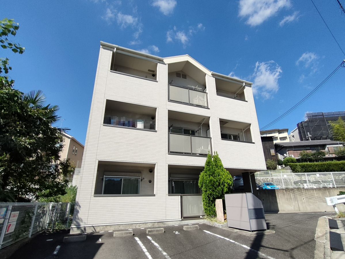 ノア・バリウス