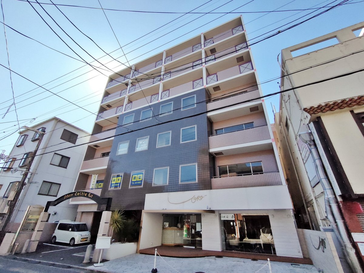 プラムキャッスルS-1【管理】