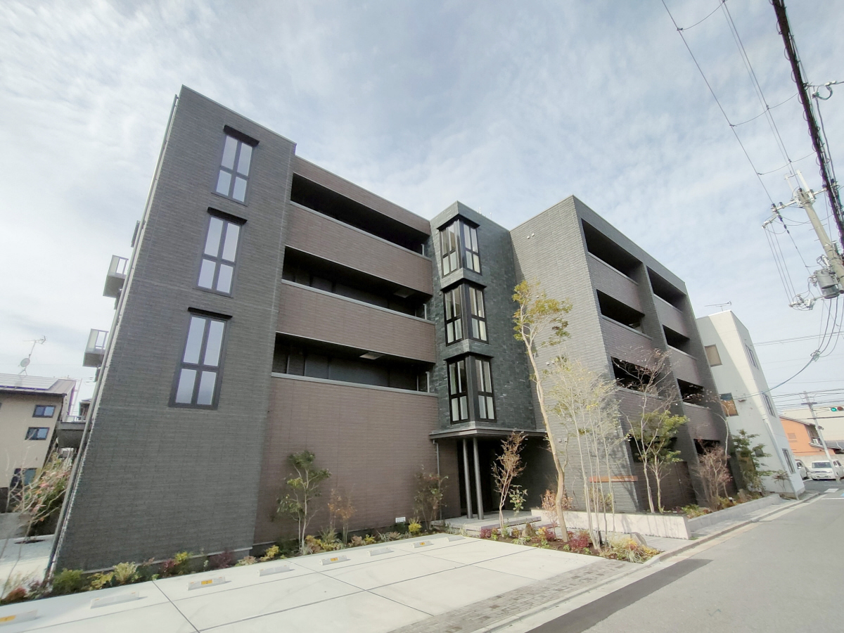 ＳｈａＭａｉｓｏｎ Ｐｒｅｍｉｅｒ ＣＹＰＲＥＳＳ