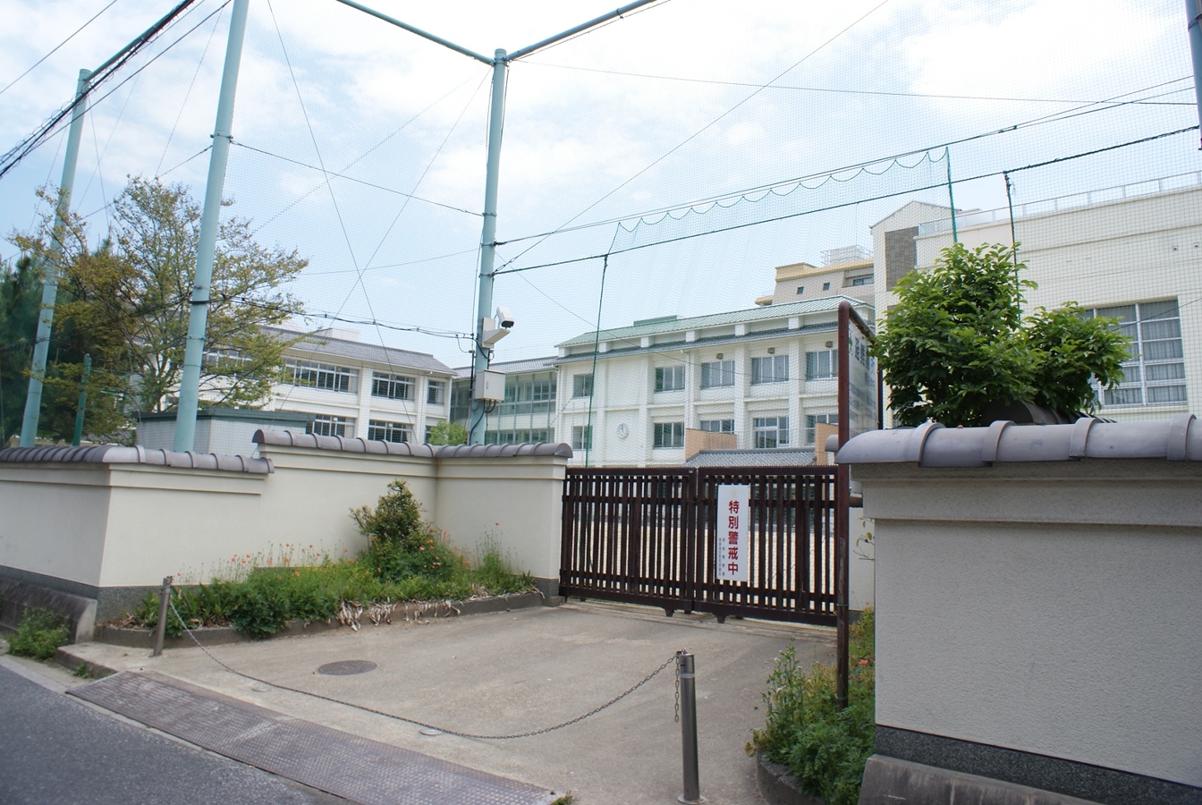 奈良市立椿井小学校まで697m (徒歩9分) 写真21