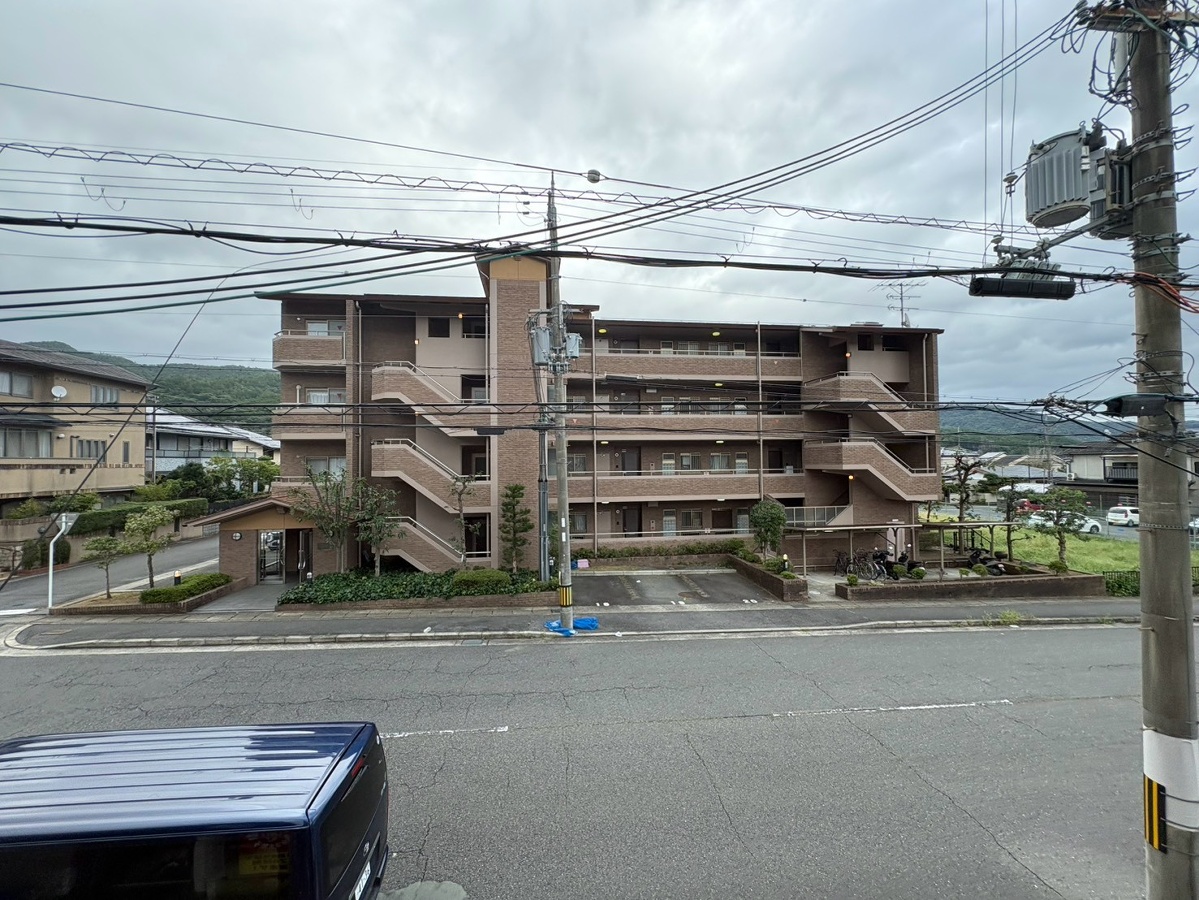 庭 写真17