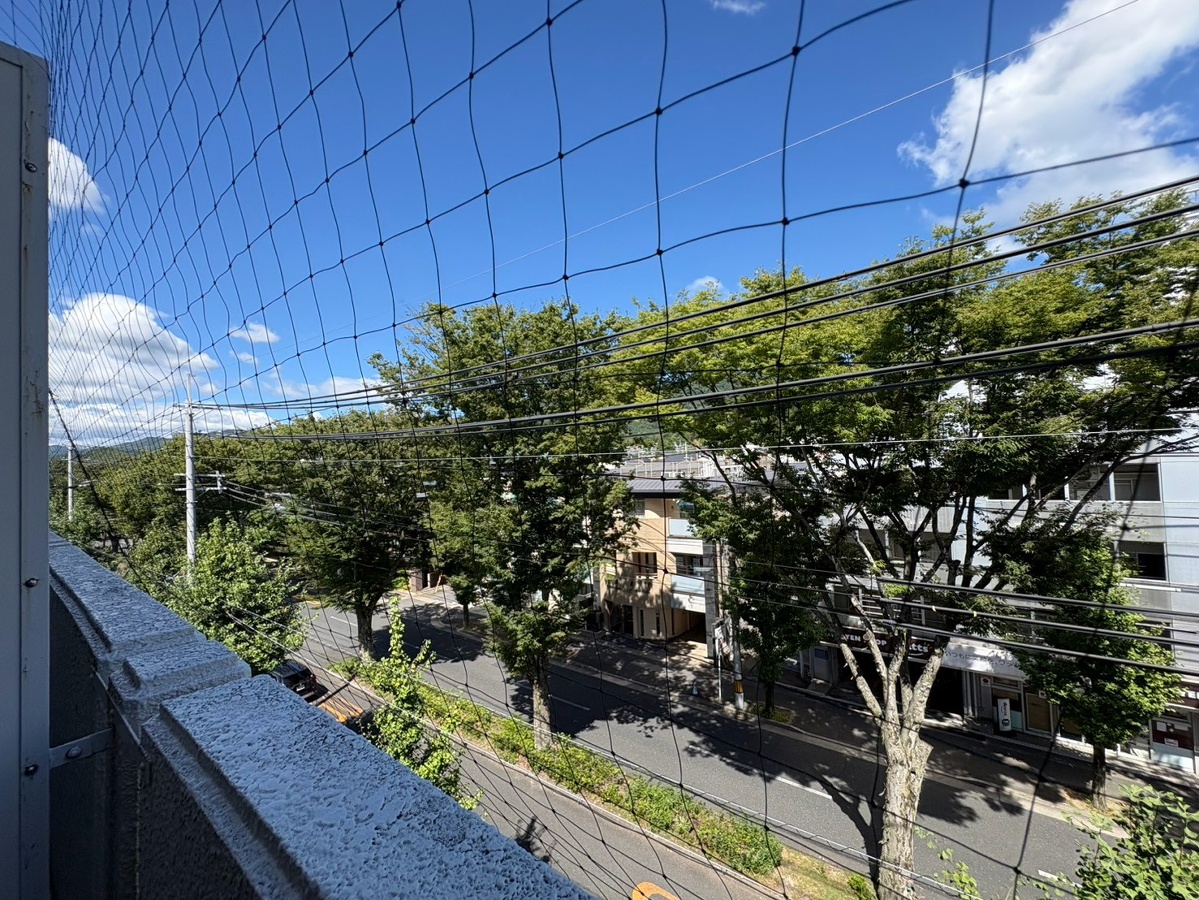 眺望 写真29