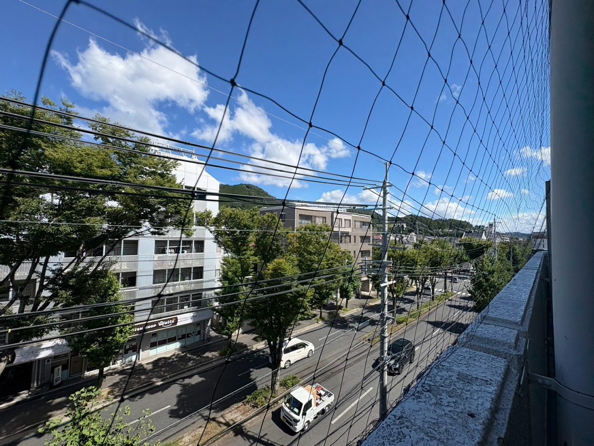 庭 写真19