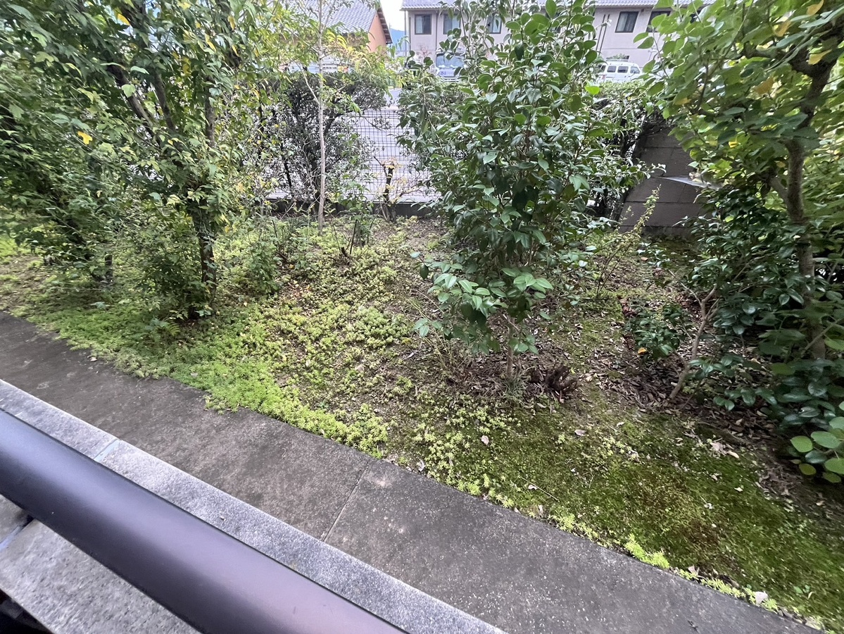 庭 写真19