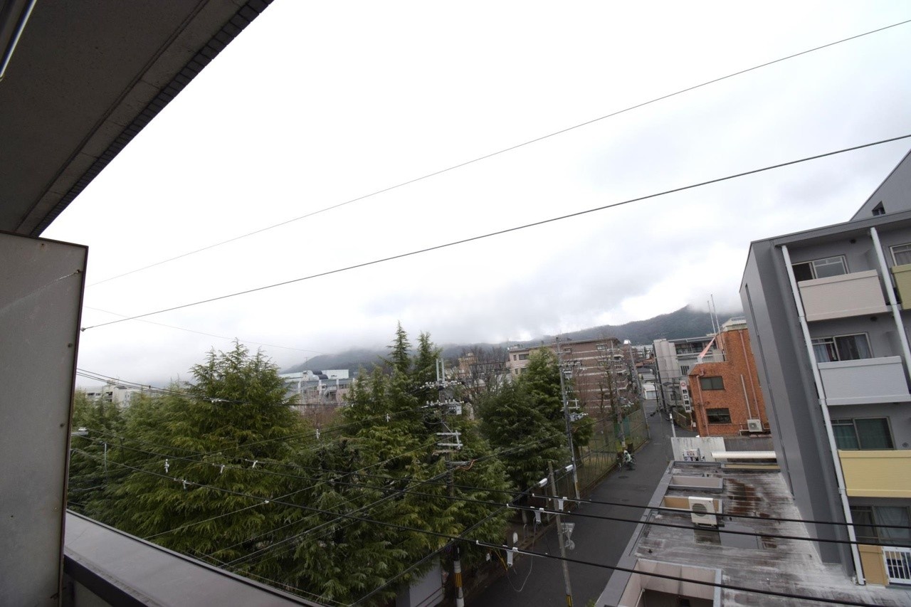 庭 写真14