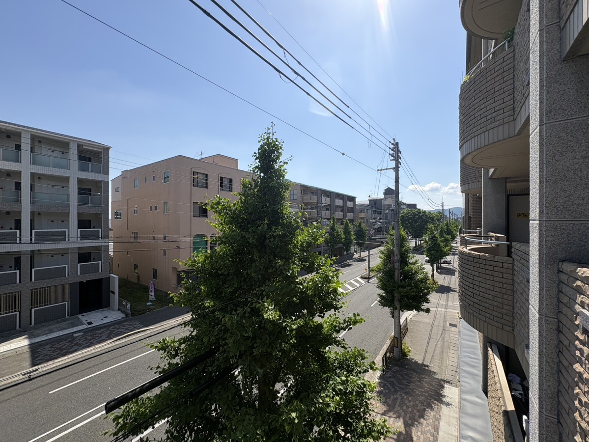 庭 写真29
