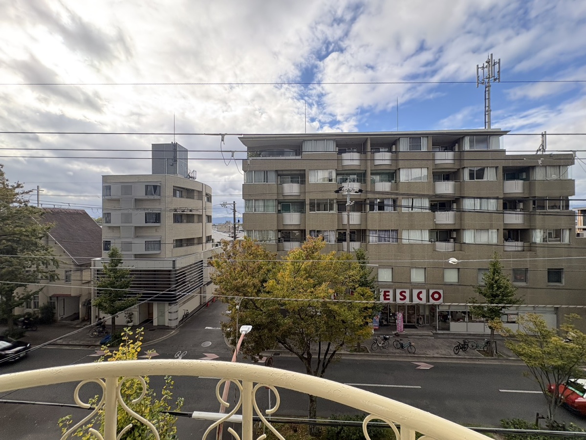 庭 写真29