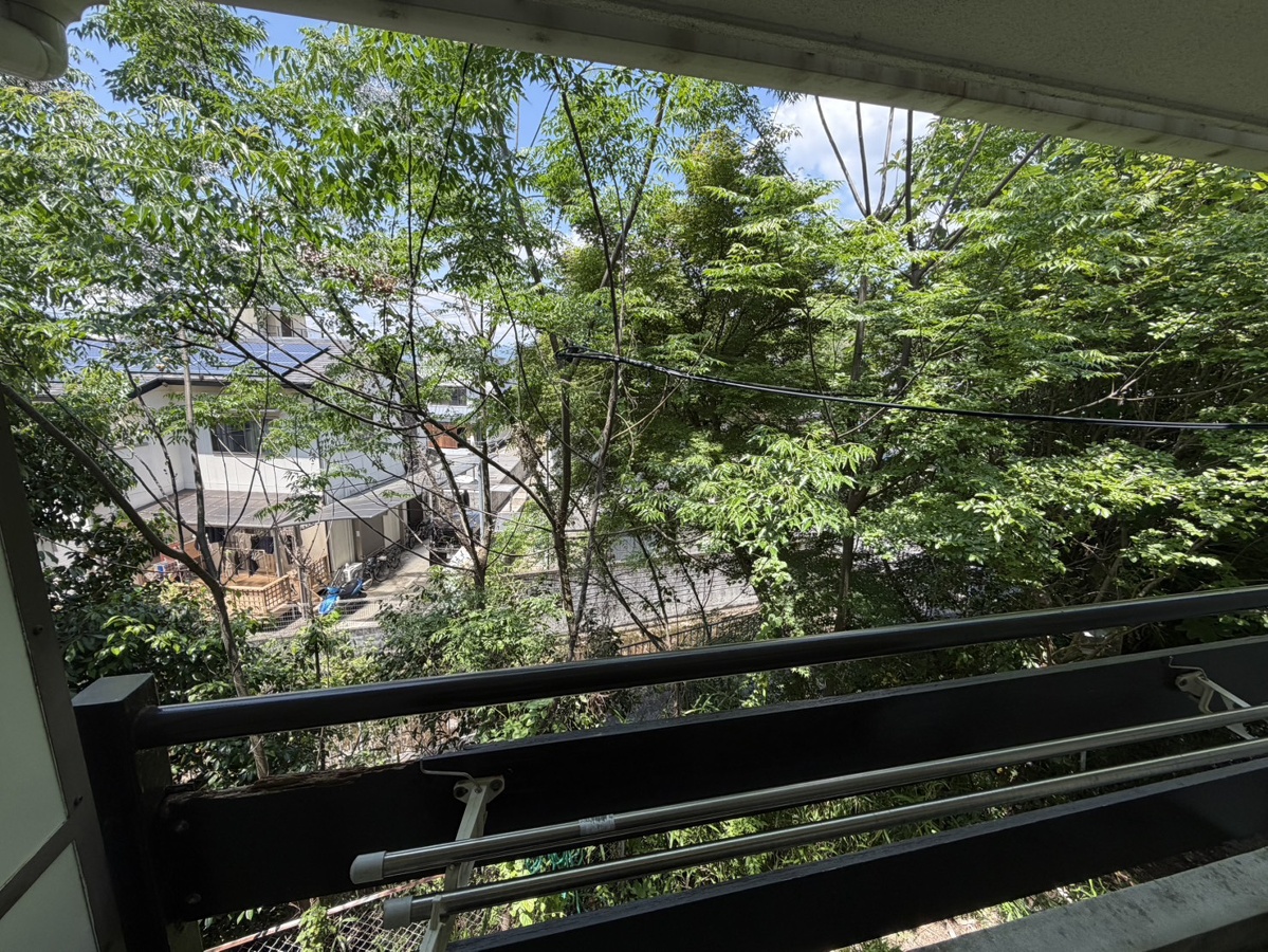 眺望 写真11