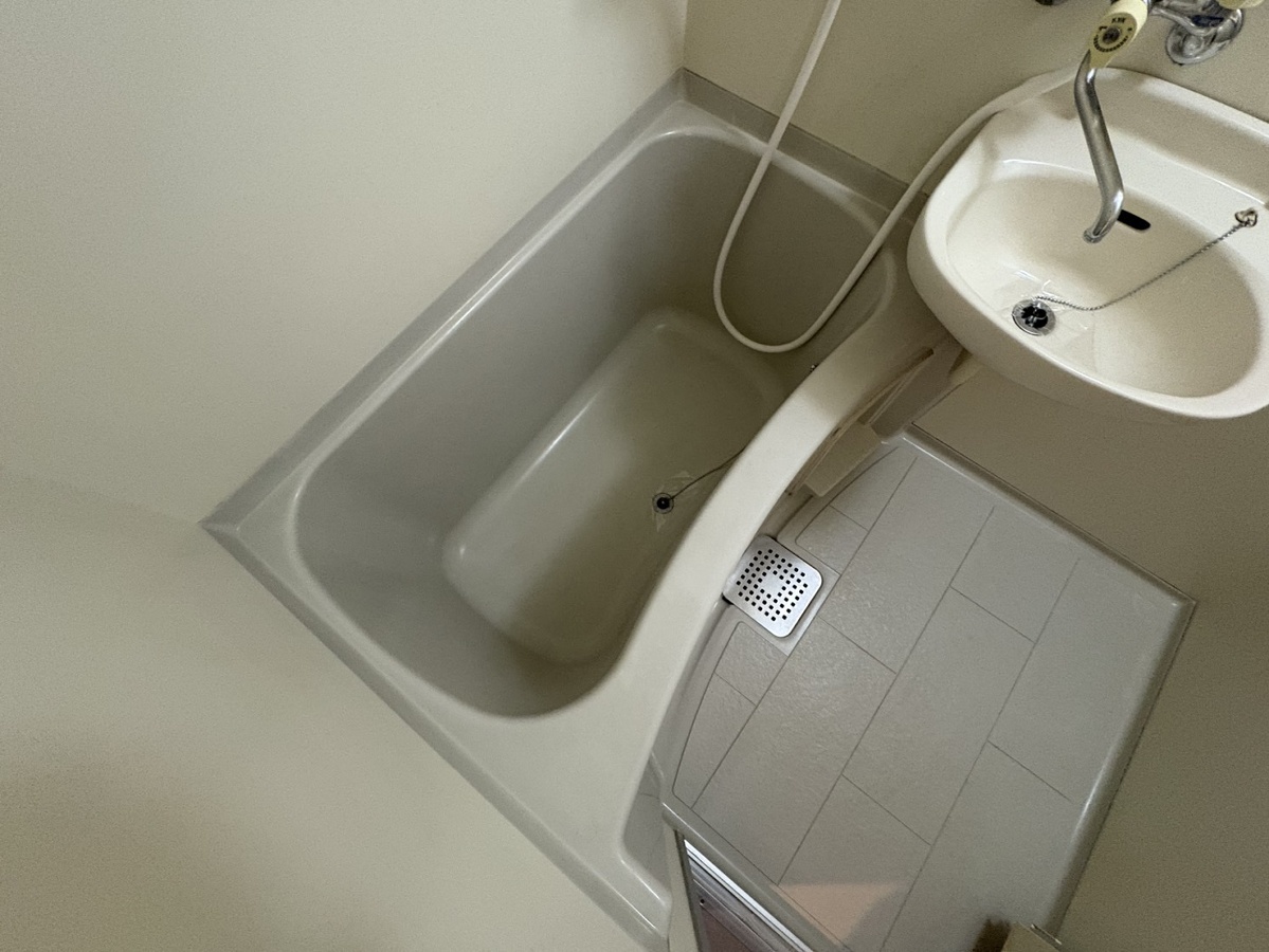 バス 203号の写真です 写真18