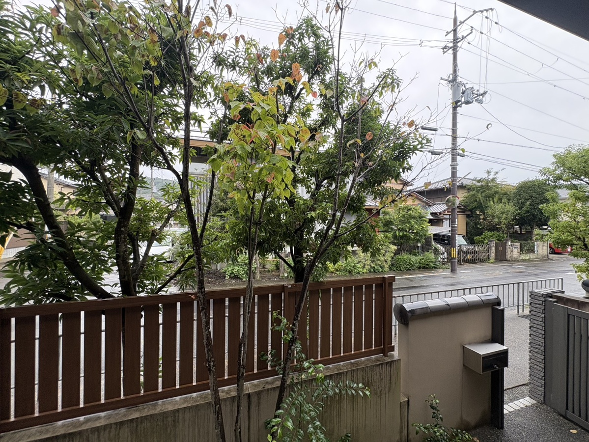 庭 写真16