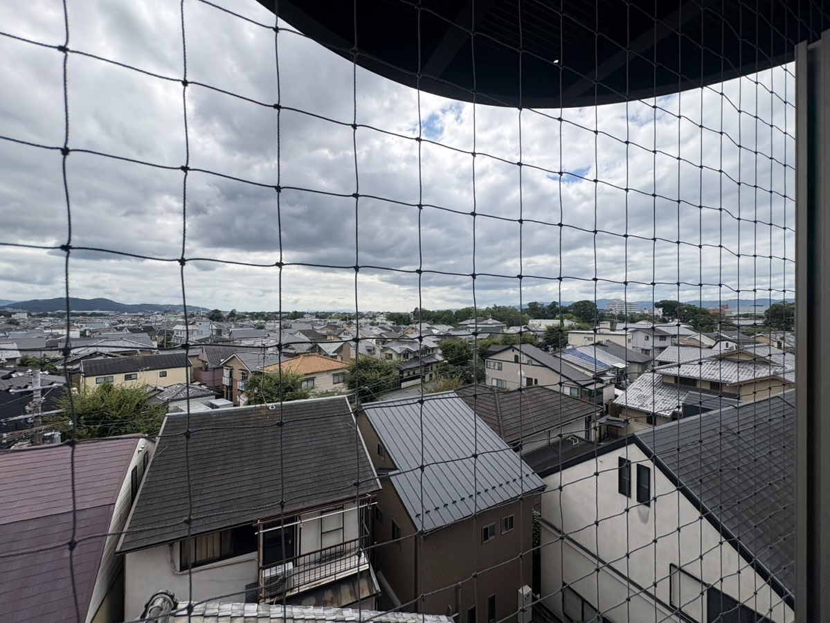 眺望 写真20