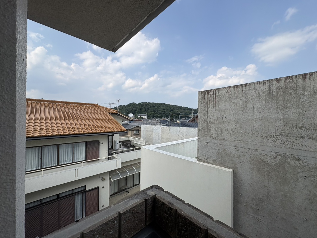 庭 写真16