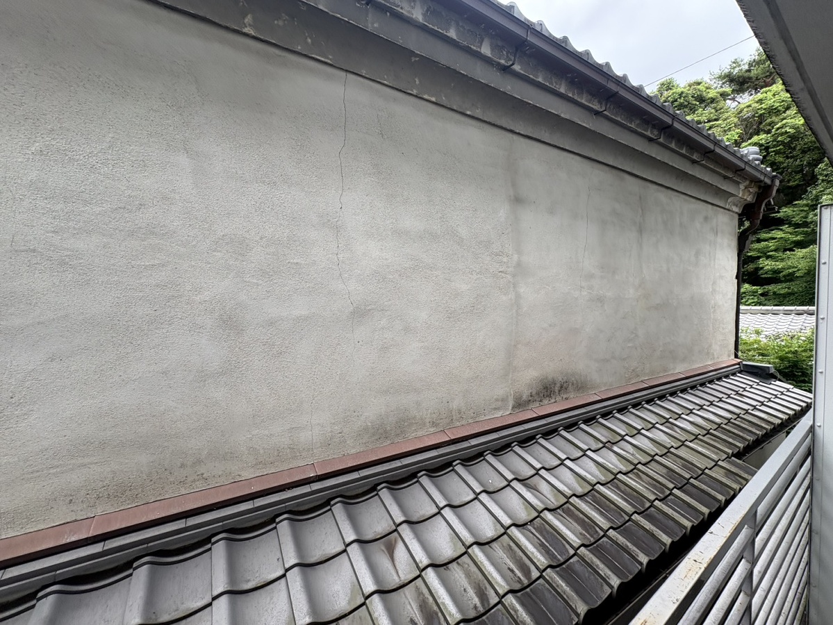 庭 写真19