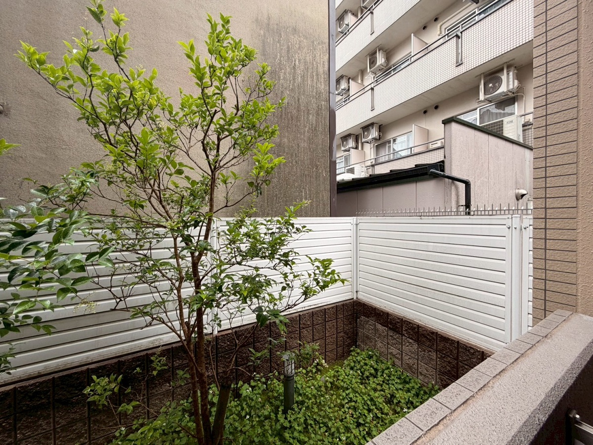 庭 写真29
