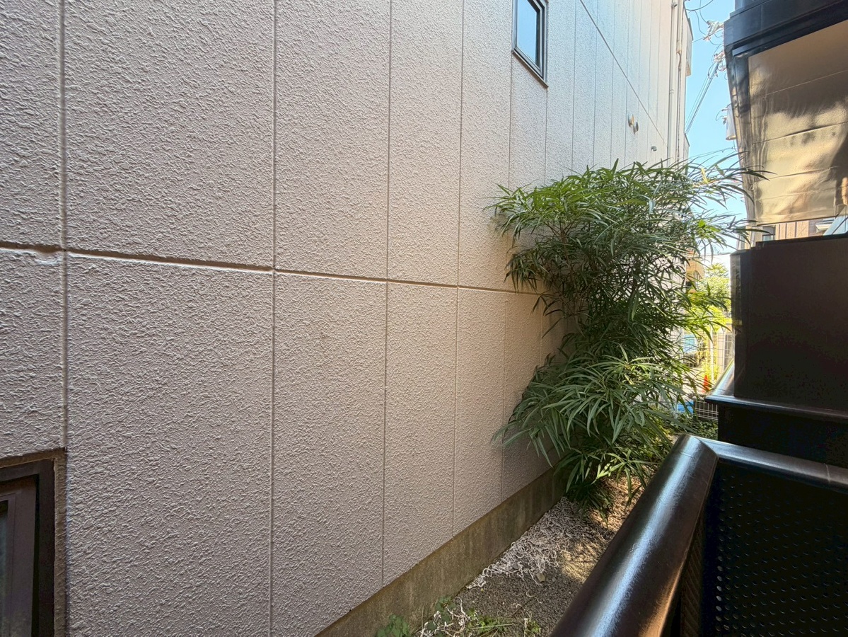 庭 写真18