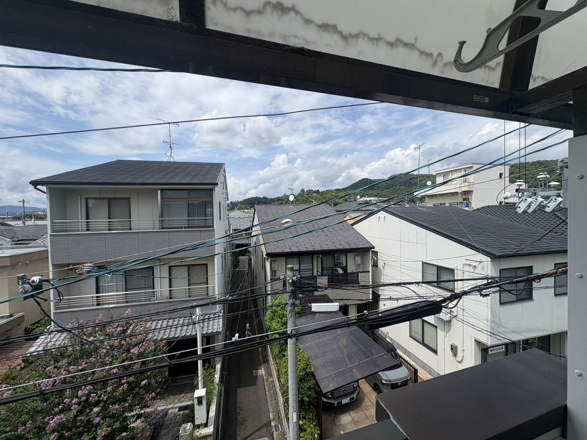 庭 写真19
