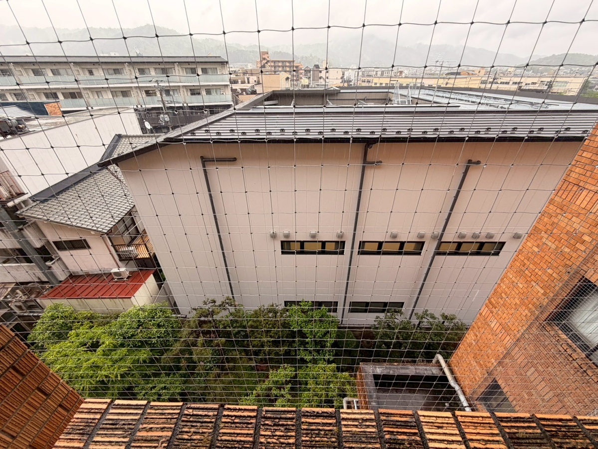 庭 写真29