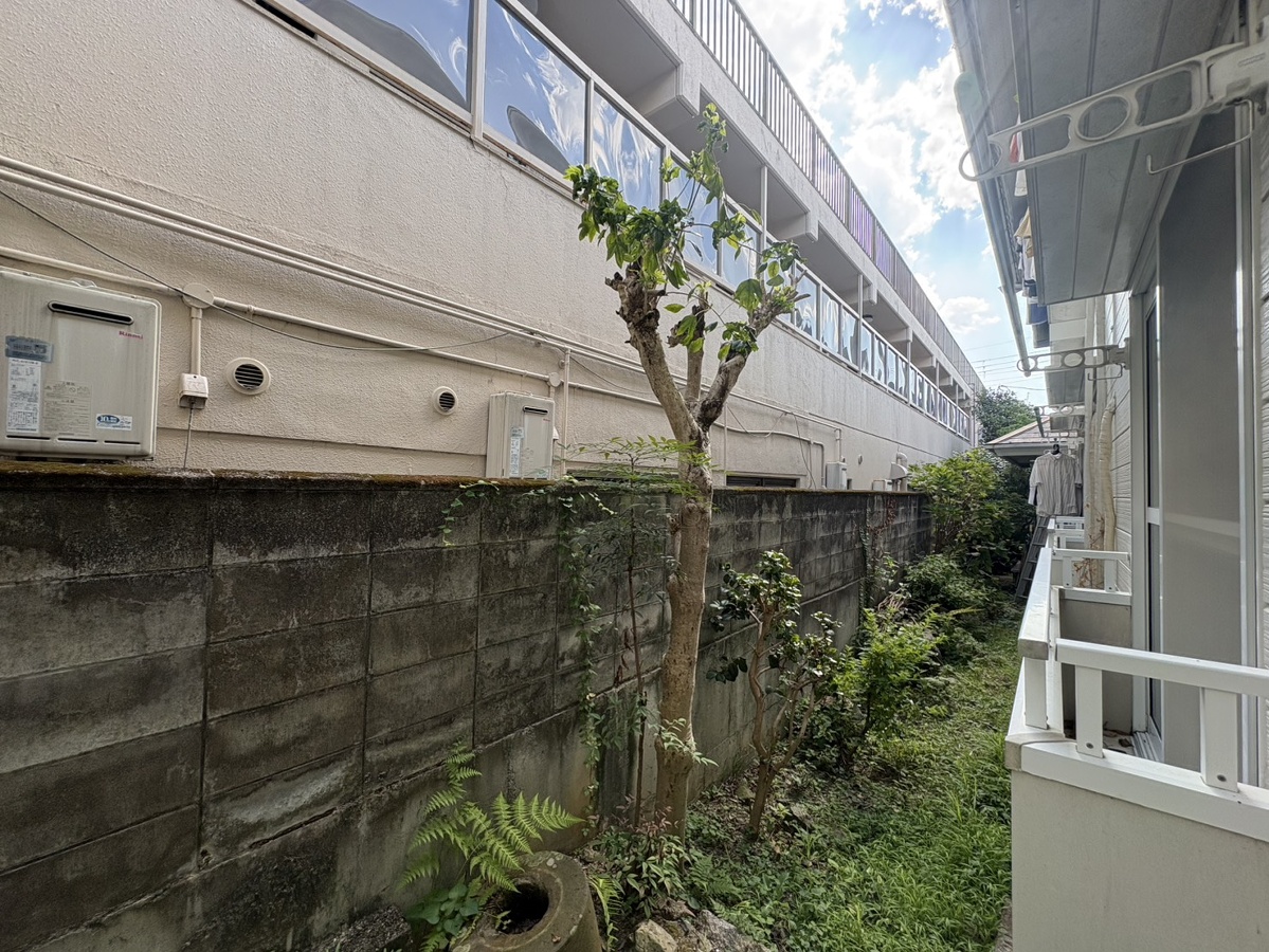 眺望 写真29