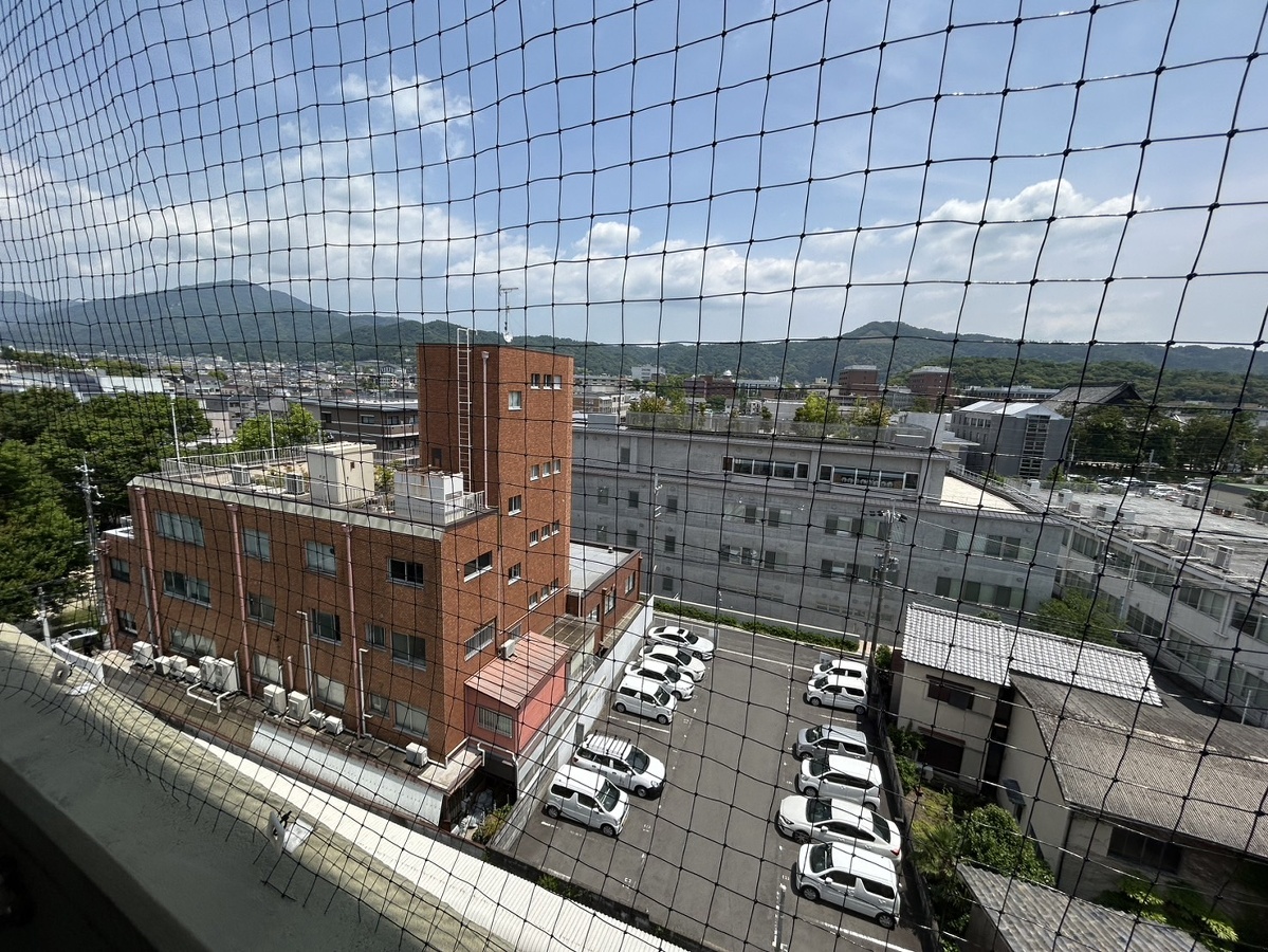 庭 写真17