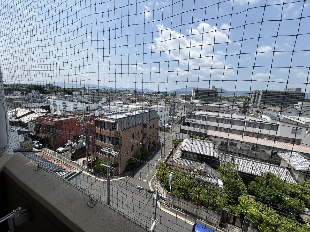 庭 写真17