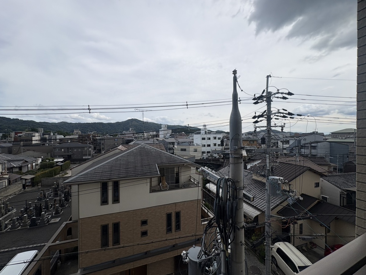 庭 写真17