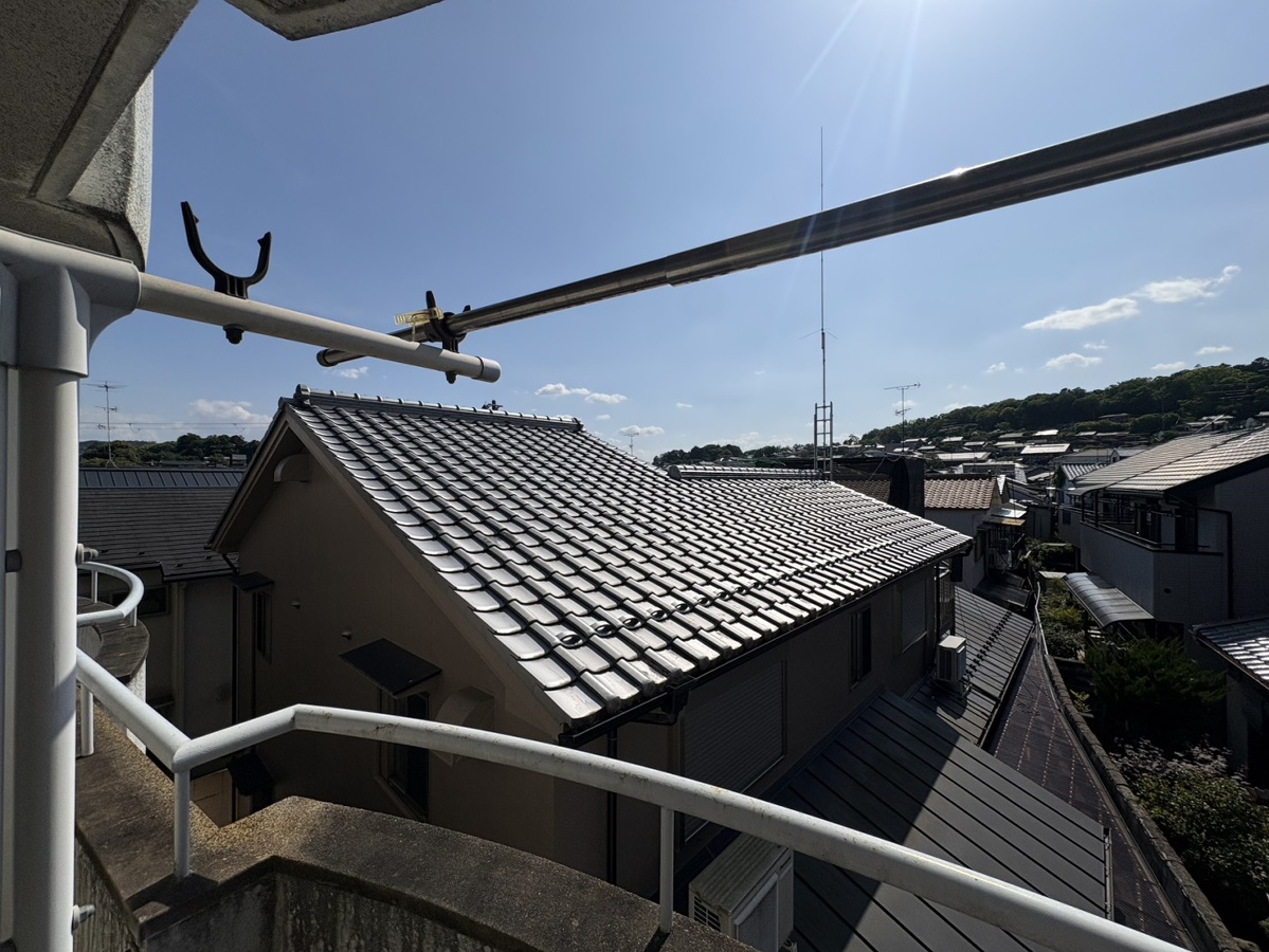 庭 写真29